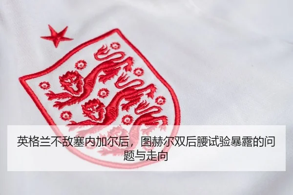 ying-ge-lan-bu-di-sai-nei-jia-er-hou-tu-he-er-shuang-hou-yao-shi-yan-bao-lu-de-wen-ti-yu-zou-xiang-2-640.jpg